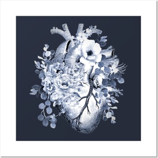 human heart,medical,heart anatomy Posters and Art